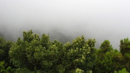 Obraz na płótnie Canvas cloudy and foggy landscape in anaga mountains