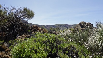 rough volcanic landscpae on teide volcano