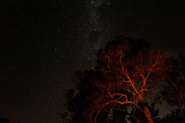  beautiful starry sky Murray River camping holiday friends hikers eating food on campfire at night...