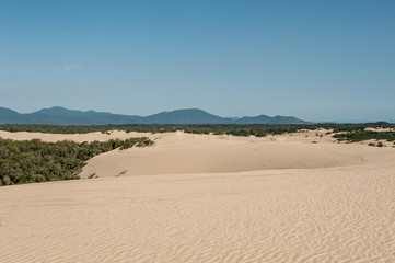 Fototapeta na wymiar big drift sand dunes wilsons promontory national park victoria australia