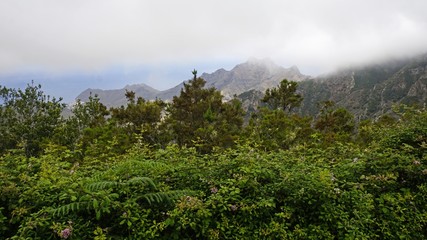 cloudy and foggy landscape in anaga mountains