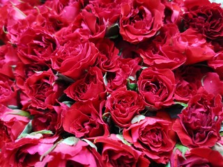 bouquet of red roses