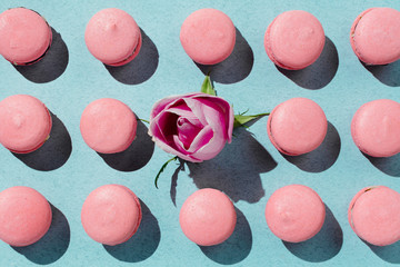 Pink vegan macaroons and rose bud knolled on pastel background