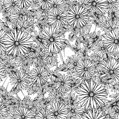 Fototapeta premium Flower graphic design. Cute seamless vector tile pattern. Retro vintage. line chamomile design.