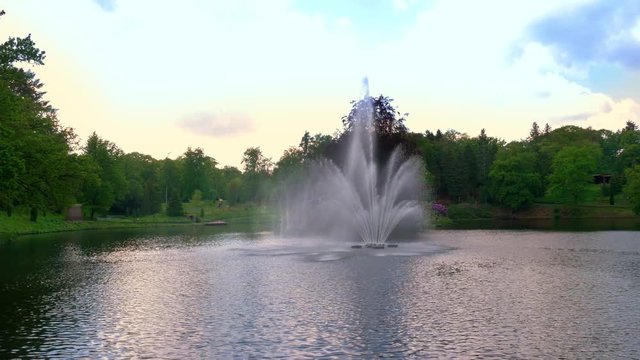 Large water fountain in the centre of a forest pond. STATIC SHOT.