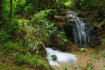 Fototapeta premium beautiful waterfall, forest background, landscape