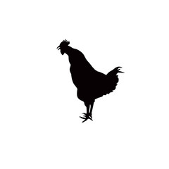 Black silhouette of crowing rooster.