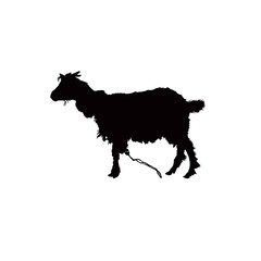 Silhouette of horned goat.