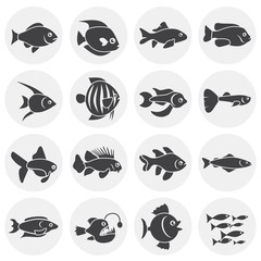 Fish related icons set on background for graphic and web design. Simple illustration. Internet concept symbol for website button or mobile app.