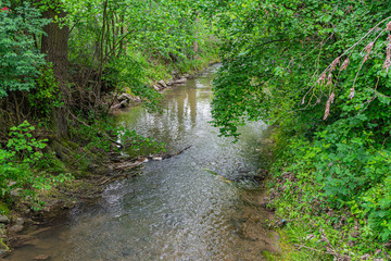 Fototapeta na wymiar River between trees and bushes