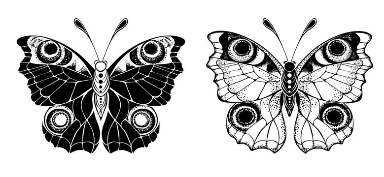 Two butterflies peacock