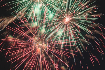 Fireworks, salute on the dark sky