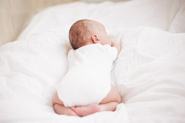newborn baby sleeps