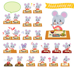 animal mouse boy_Meal