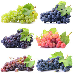 Grapes on a white background
