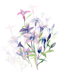 Flowerless drawing of a bouquet of flowers. Pattern on white and colored background.