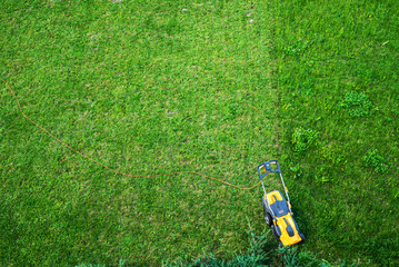 Working men working lawn care