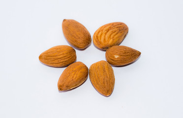 close up of  brown almonds seeds isolated on white background