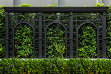 Green fences walls, eco friendly vertical garden background