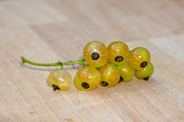 Fresh bio garden berries from the summer season