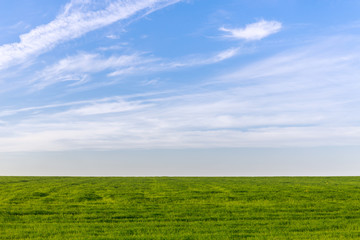 Beautiful bright blue sky and lush green grass as a background or backdrop