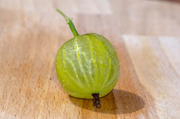 Fresh bio garden berries from the summer season