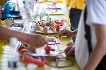 Student learning science about how to Produce Electricity using Tomato and Potato
