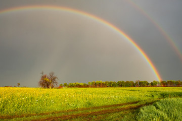 Naklejka premium double rainbow in summer after rain in the field. Nature after the rain. double Rainbow