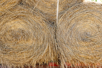 Front view of three hay rolls tied to a truck