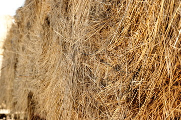 Close-up macro of hay roll in the trailer of a truck
