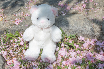 Teddy bear sitting on flower field