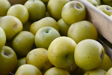 Apples on the market. Fresh organic yellow apples from the local farmers market. Apples background background texture seasoning Apples for sale. 