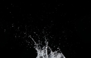 Salpicaduras de agua sobre fondo negro