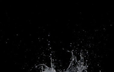 Salpicaduras de agua sobre fondo negro