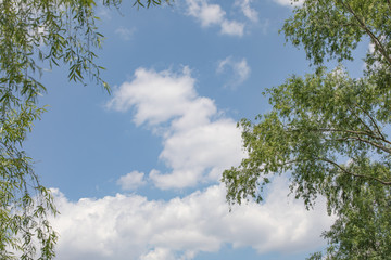 日本　川の風景　多摩川