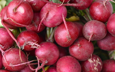 Bunch of red radishes in the market. Full frame of red radish. Food concept baner, poster.