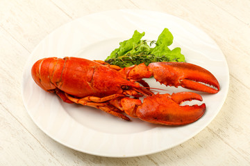 Lobster