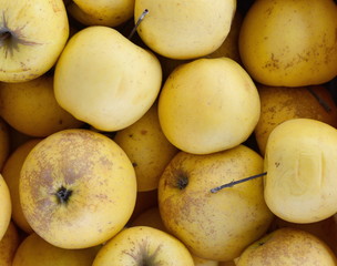 Apples on the market. Fresh organic red apples from the local farmers market. Apples background background texture seasoning Apples for sale. 