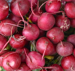 Bunch of red radishes in the market. Full frame of red radish. Food concept baner, poster.