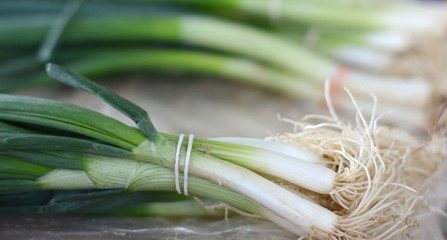 Young onions on the market. Green onion leaves on the market.