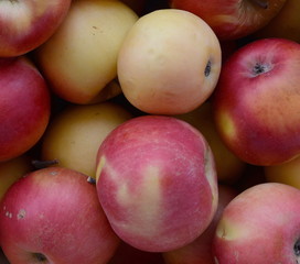 Apples on the market. Fresh organic red apples from the local farmers market. Apples background background texture seasoning Apples for sale. 