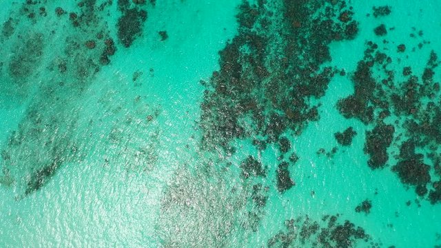 Aerial view of  clear shallow turquoise water with some reefs in it.The water of the Maldive is reflecting slightly. Static.