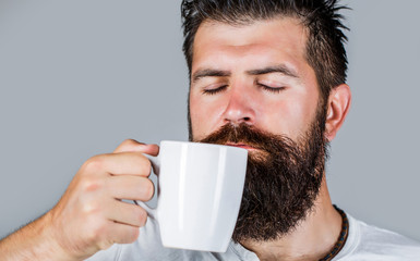 Good morning, man holding a cup tea. Morning concept. Handsome bearded male holds cup of coffee, tea. Smiling hipster man with cup of fresh coffee. Bearded man smiling. Portrait male. Closeup tea.