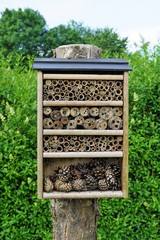 Bee-hotel in garden