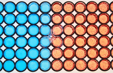 Abstract geometrical red and blue circle pattern