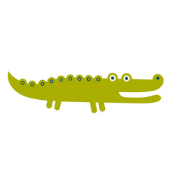 Crocodile isolated on white background