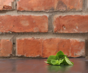 Green mint leaves on wooden table