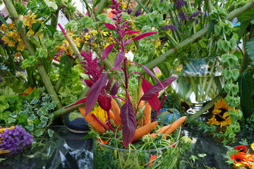 flower decoration with carrots
