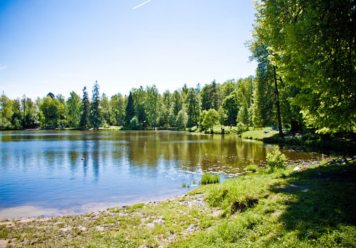 Wide Forest Lake Under The Blue Sky