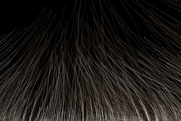 Obraz premium Future network technology data, artificial intelligence and information, information transmission